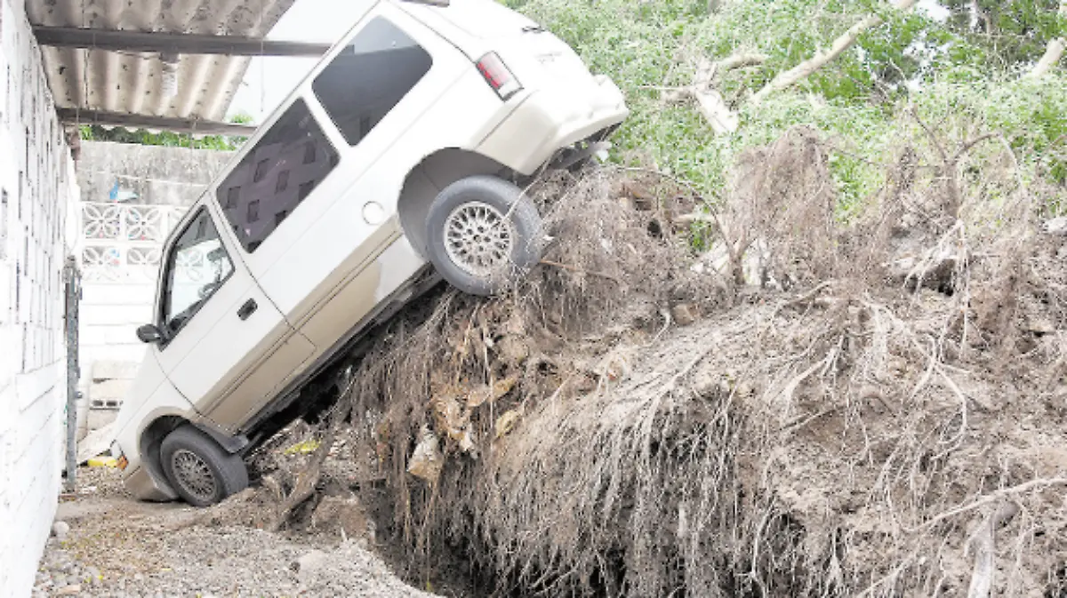 Captura de pantalla 2019-12-28 a la(s) 20.46.11