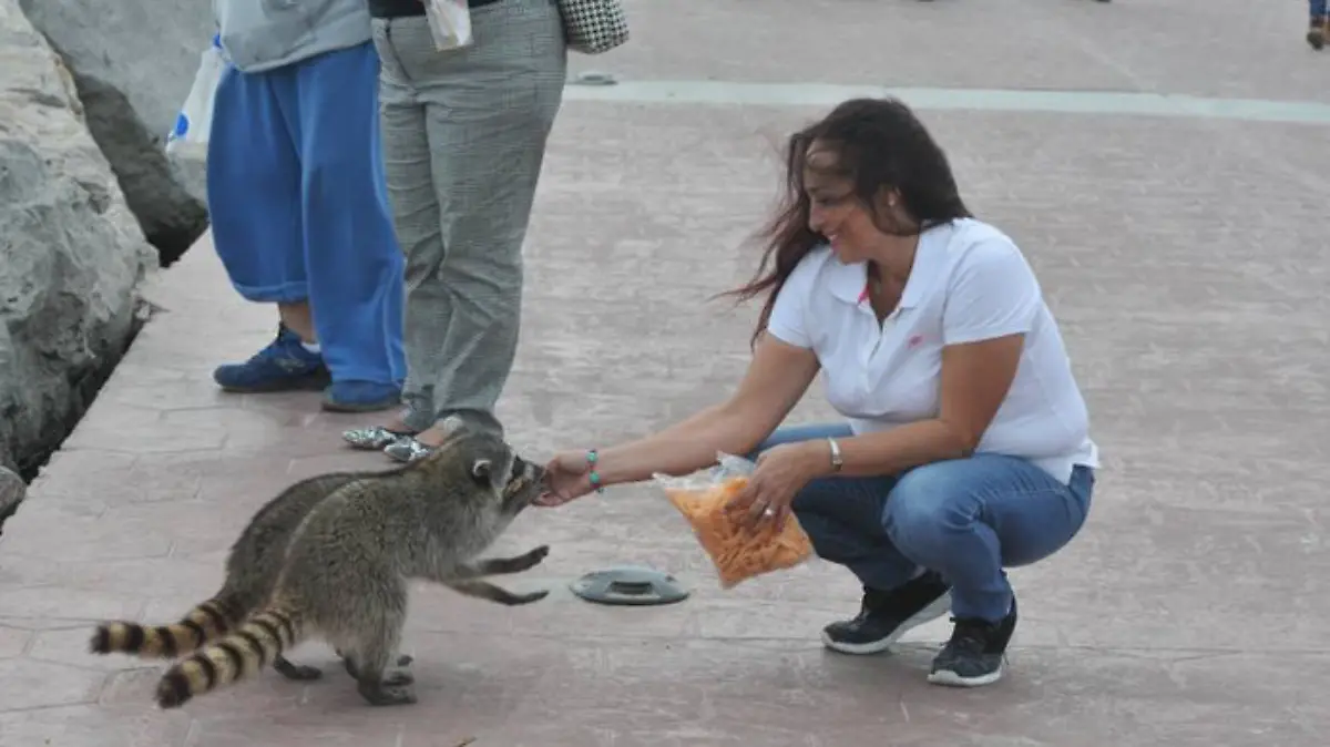 Captura de Pantalla 2020-09-27 a la(s) 21.45.22