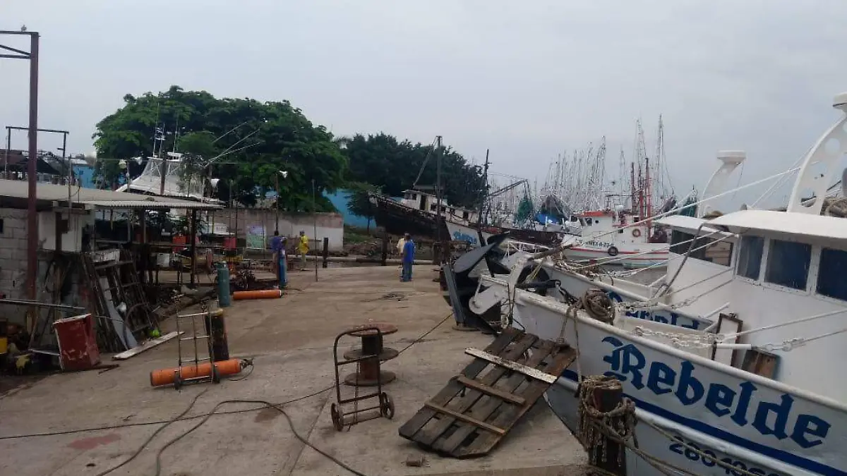 WhatsApp Image 2018-09-16 at 11.30.01 AM