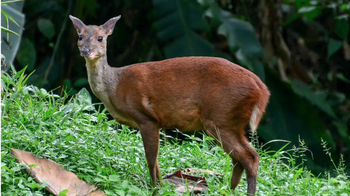 Captura de Pantalla 2020-03-02 a la(s) 22.25.15