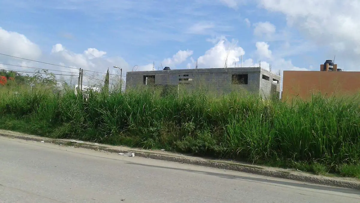 WhatsApp Image 2018-10-08 at 11.32.01 AM