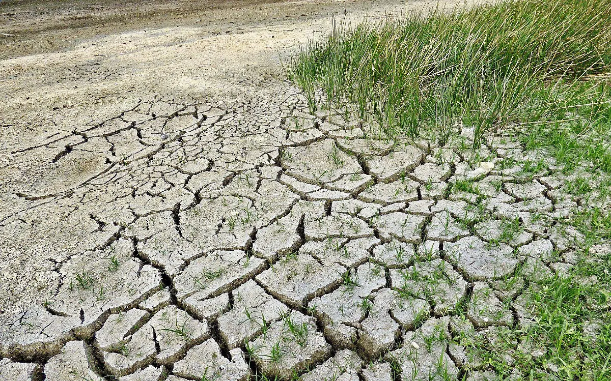 climate-change-gf2dd4030d_1920
