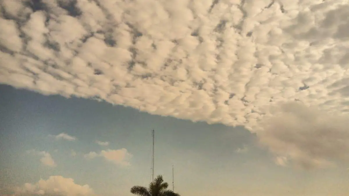 WhatsApp Image 2019-11-19 at 13.29.31