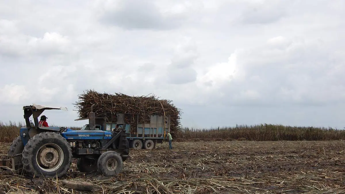 WhatsApp Image 2020-10-08 at 3.11.56 PM