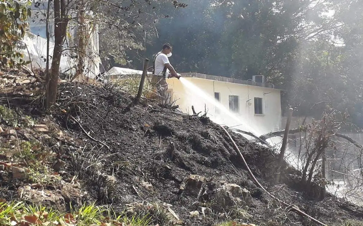 WhatsApp Image 2021-02-23 at 4.17.44 PM