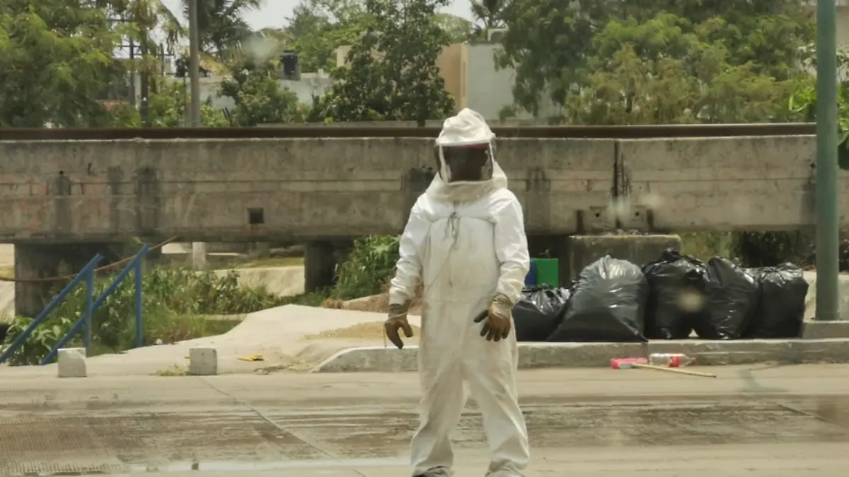 Captura de Pantalla 2019-05-15 a la(s) 13.34.08