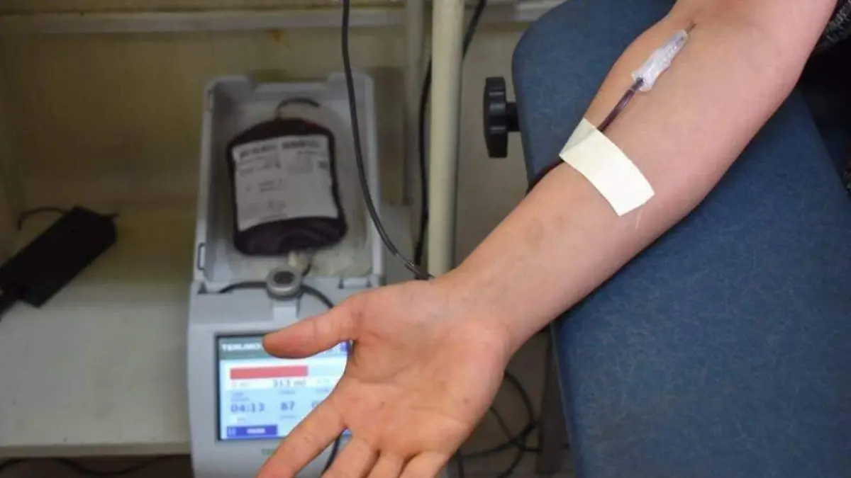 donación sangre