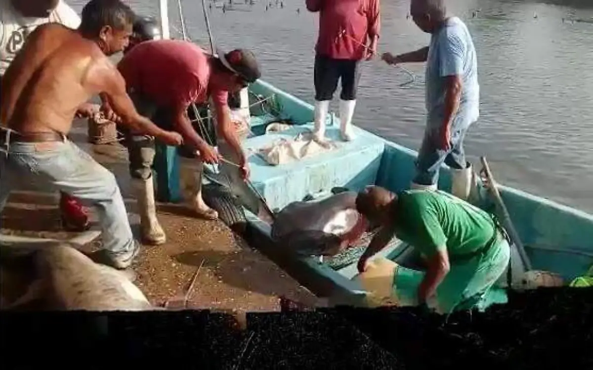 Anotación 2020-04-22 194910