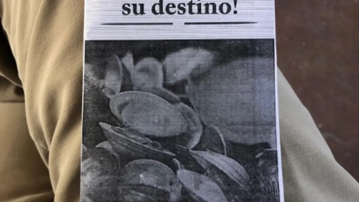 Captura de Pantalla 2019-08-16 a la(s) 17.19.39