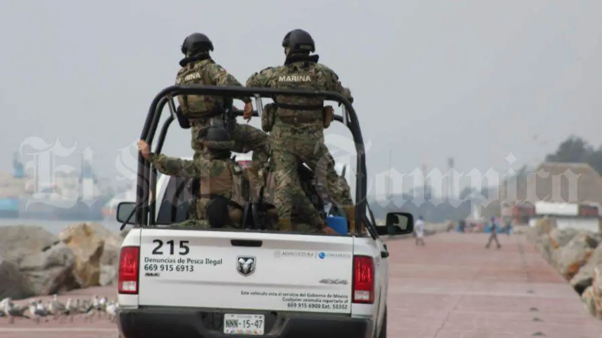 A los esfuerzos de cuidados se suman la Comisión Nacional de Áreas Naturales Protegidas (Conanp), la Secretaría de Marina-Armada de México y asociaciones como La Gaviota Vida Marina, para la preservación de esta especie