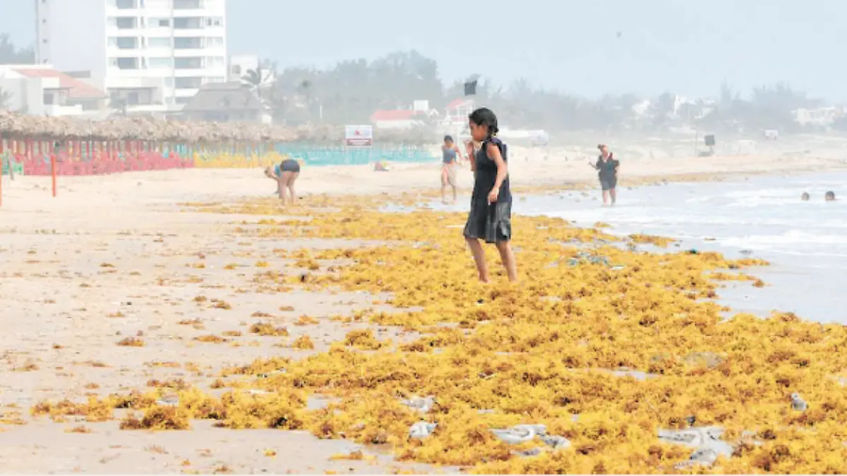 Captura de pantalla 2019-12-21 a la(s) 23.50.03