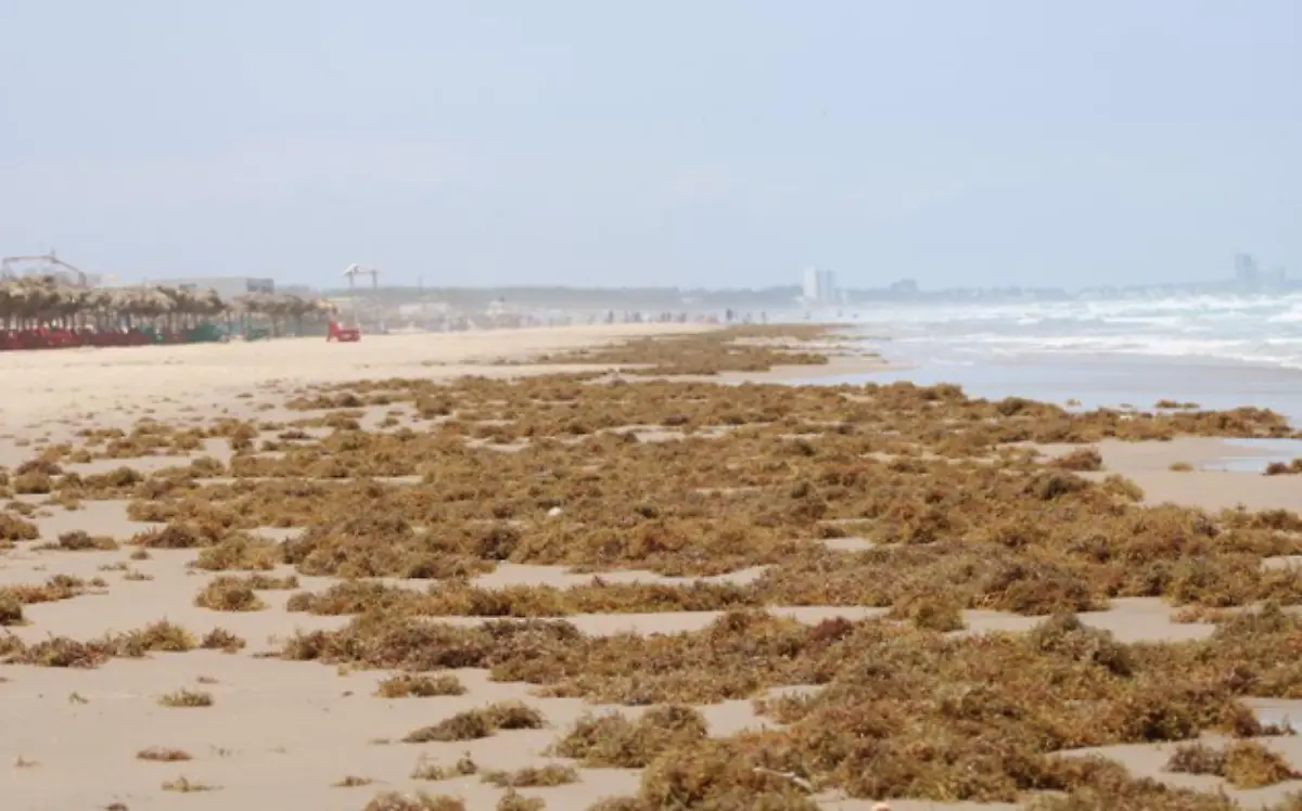 Plástico enemigo número uno de los mares