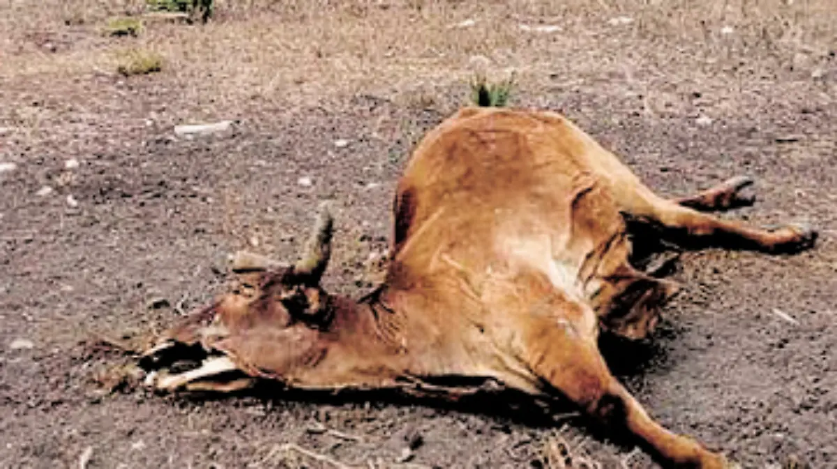 Captura de pantalla 2019-12-22 a la(s) 00.05.19