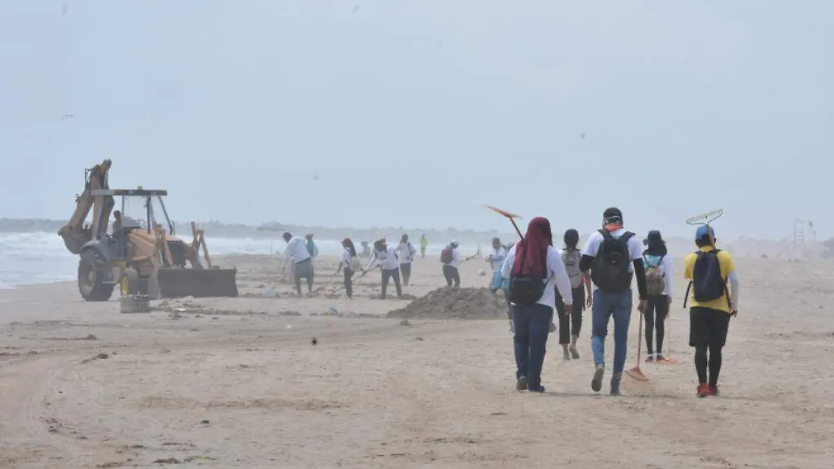 Image 2019-05-16 at 11.55.09