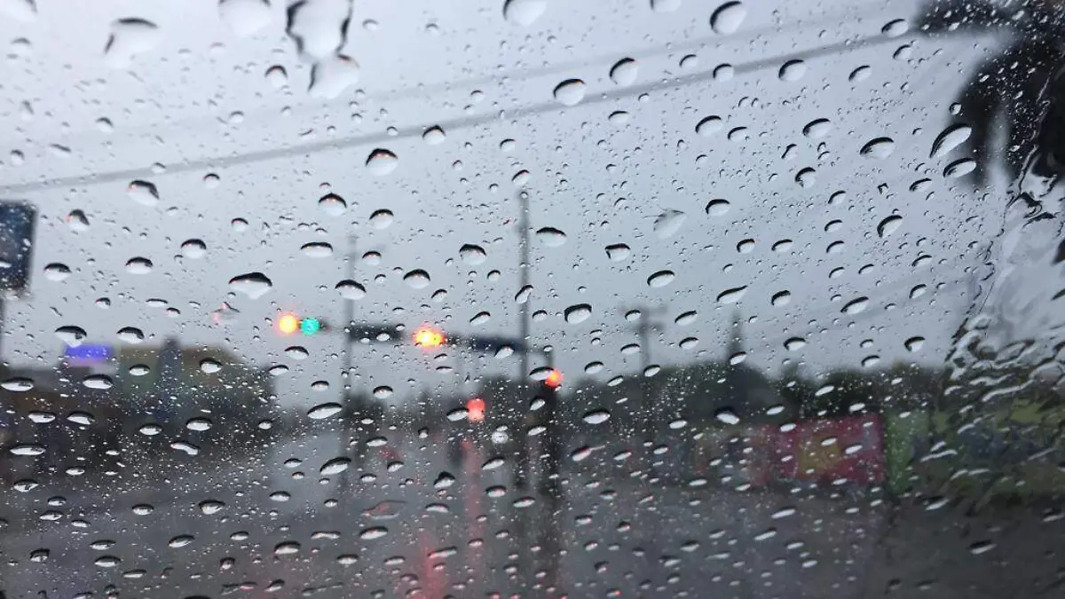 Image 2019-06-02 at 8.15.04 AM (1)