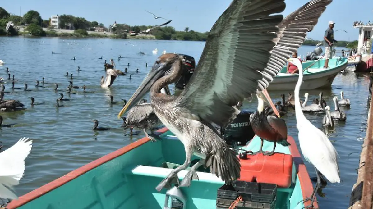Captura de Pantalla 2020-01-17 a la(s) 23.44.44