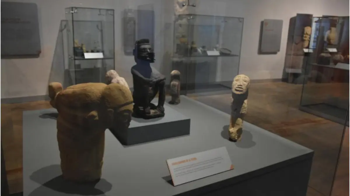 Un espacio para aprender, el sur y sus museos