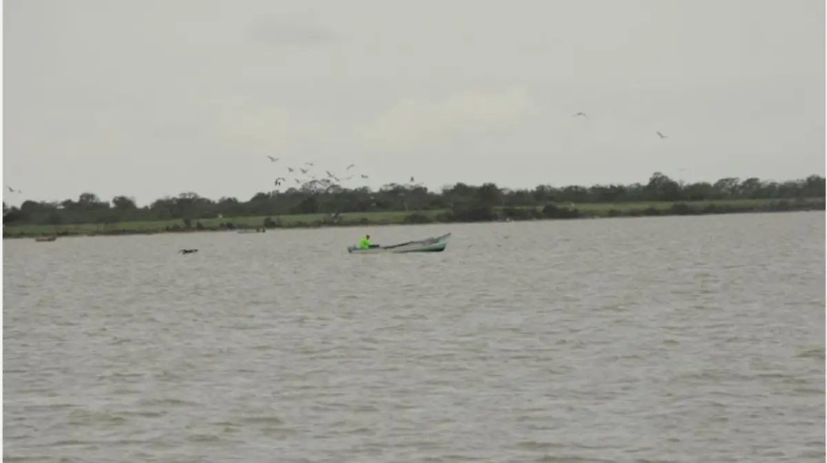 Captura de pantalla 2020-09-09 a la(s) 23.11.44