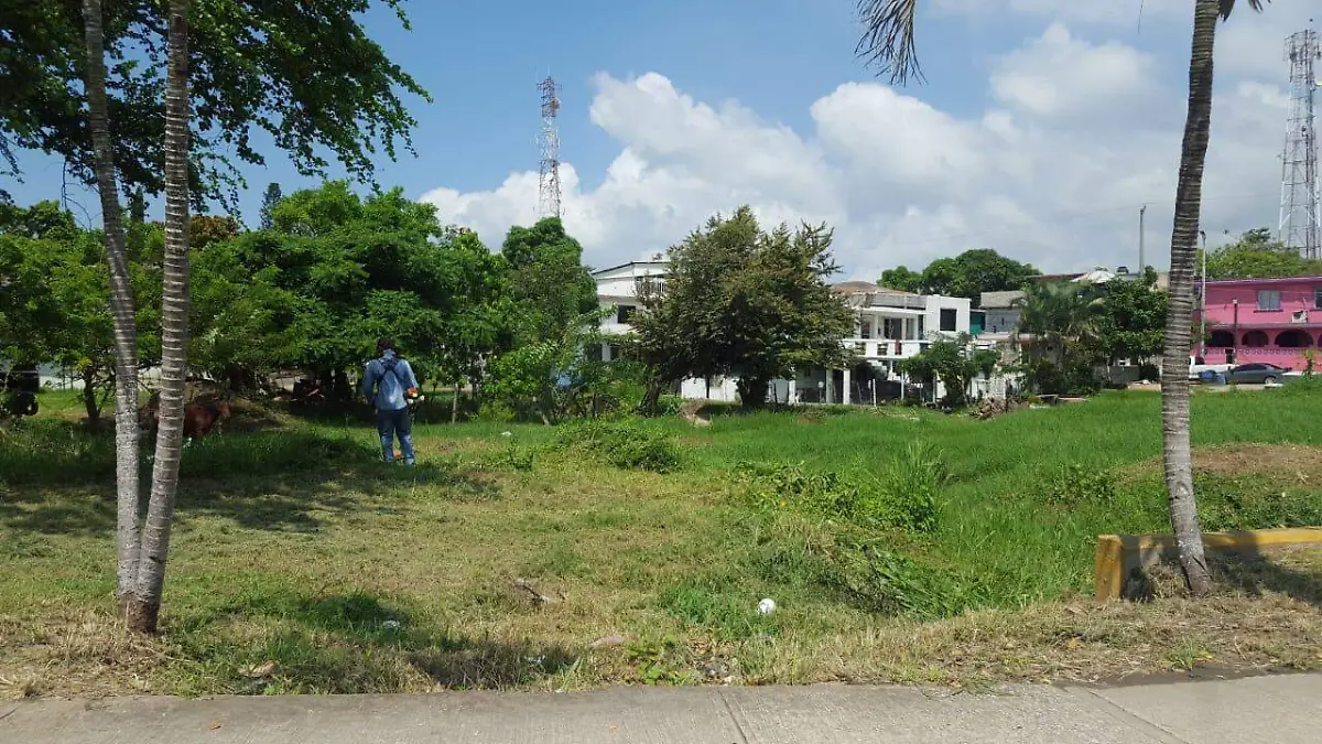 Image 2018-11-06 at 11.38.11 AM (1)