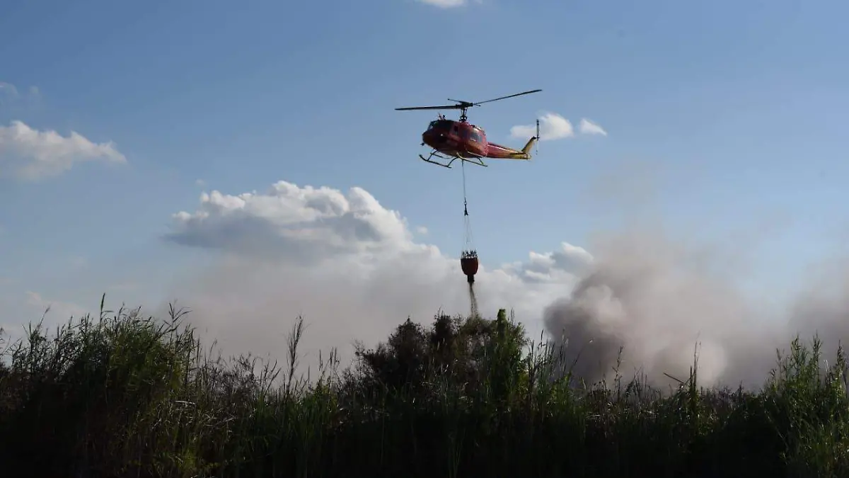 Image 2019-06-13 at 8.19.47 PM (1)