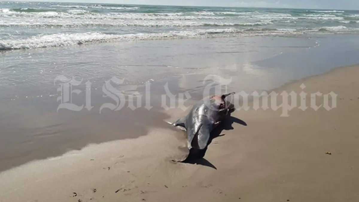 Image 2020-06-07 at 22.06.35 (9)