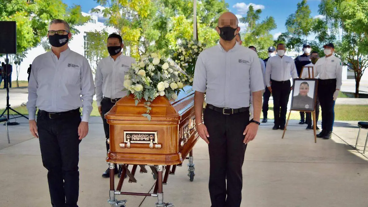 WhatsApp Image 2020-11-01 at 17.21.49