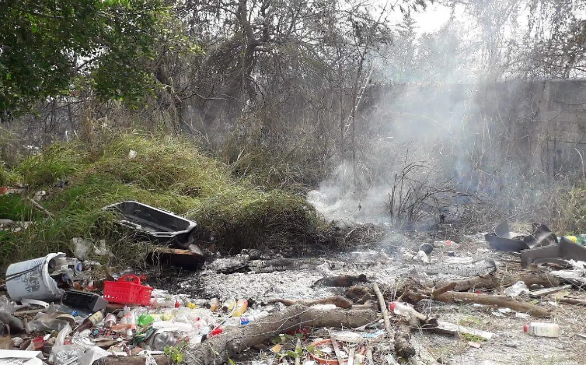 WhatsApp Image 2021-02-27 at 3.36.19 PM