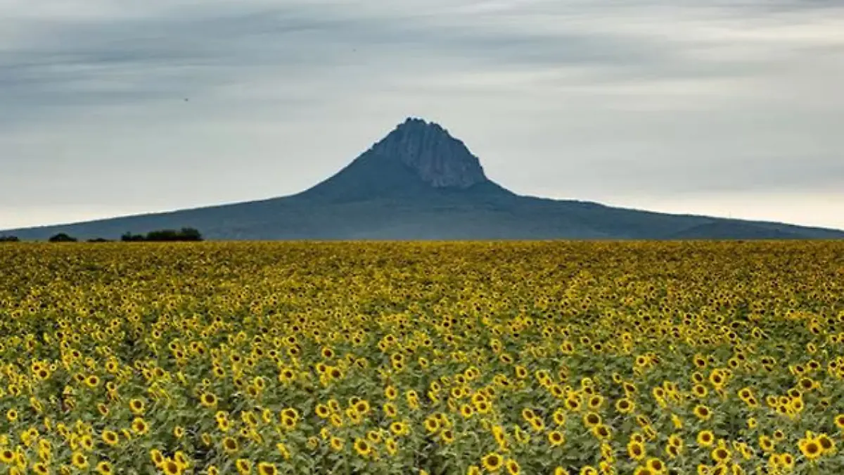 Captura de pantalla 2021-01-20 a las 11.40.45 p.m.