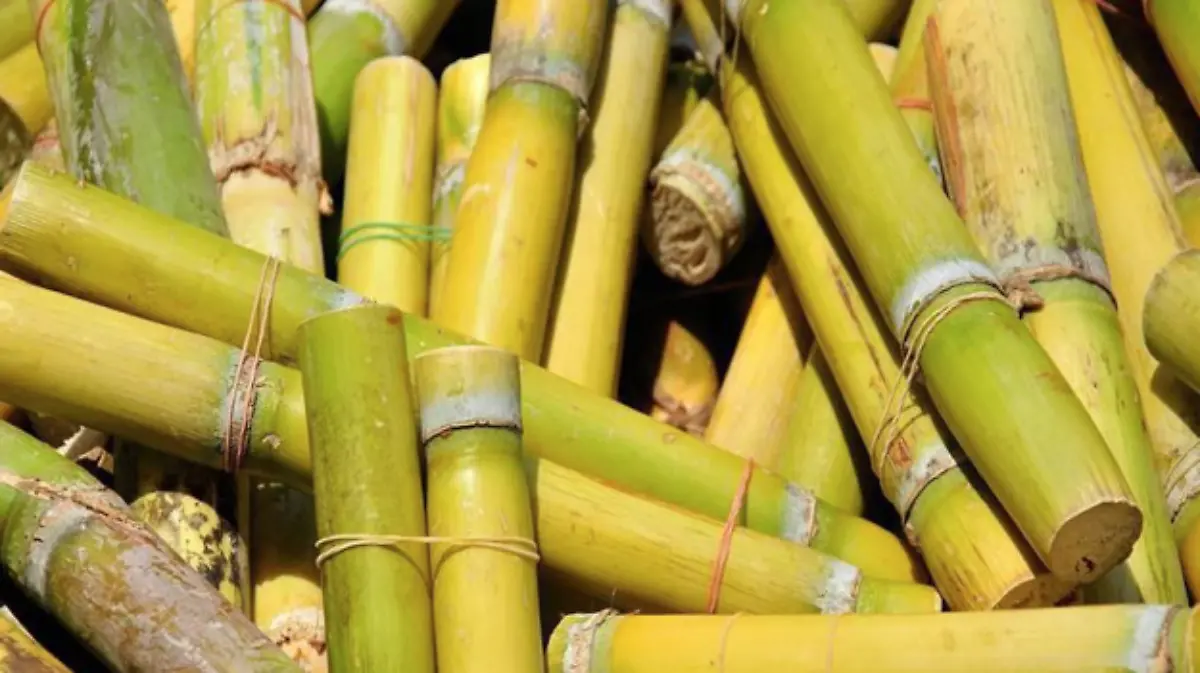 Captura de Pantalla 2019-12-18 a la(s) 23.30.30