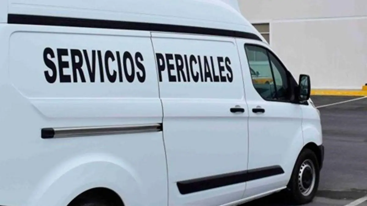 WhatsApp Image 2019-05-07 at 3.42.14 PM