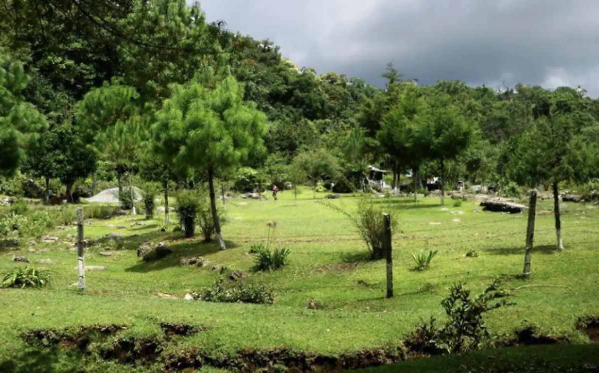 Tamaulipas necesita una policía ambiental
