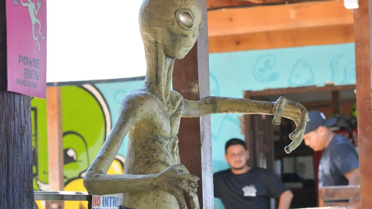 Image 2019-09-04 at 09.52.51