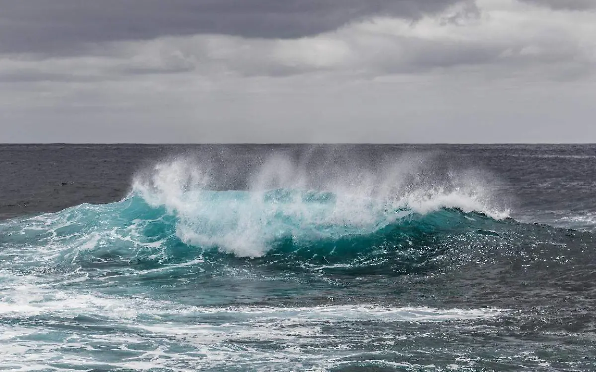 WhatsApp Image 2022-02-25 at 5.22.40 PM