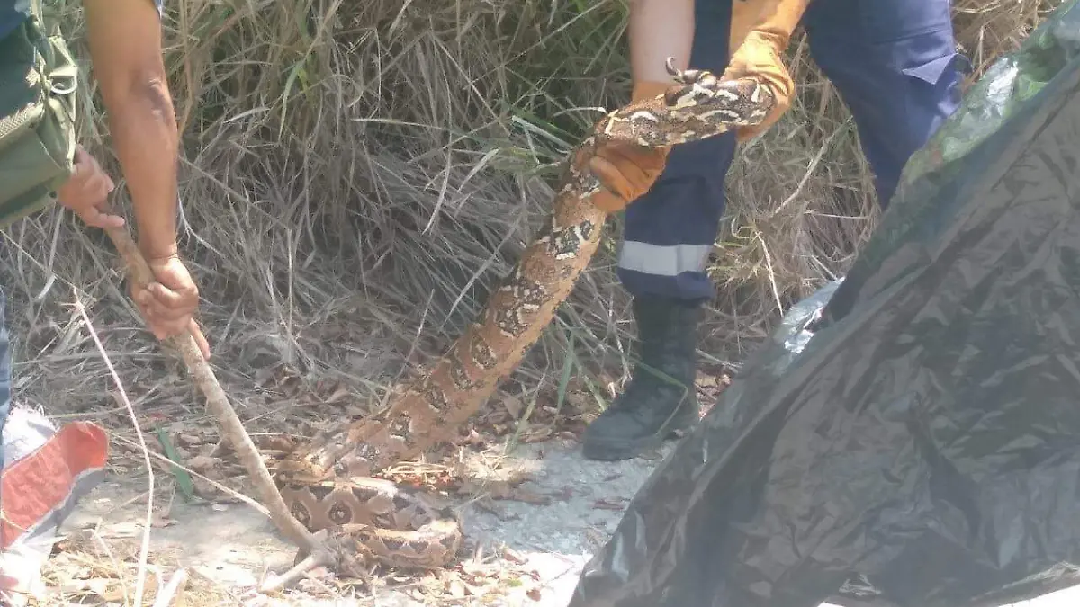 WhatsApp Image 2020-04-02 at 16.23.47