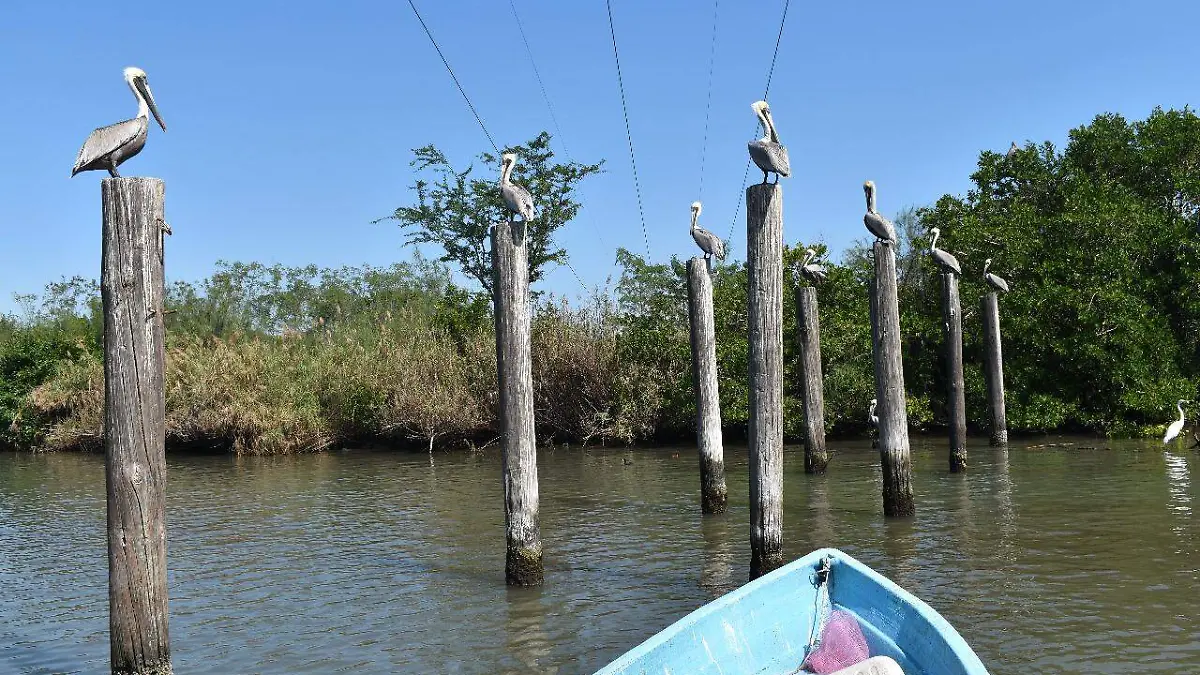 WhatsApp Image 2020-02-10 at 10.05.11 AM