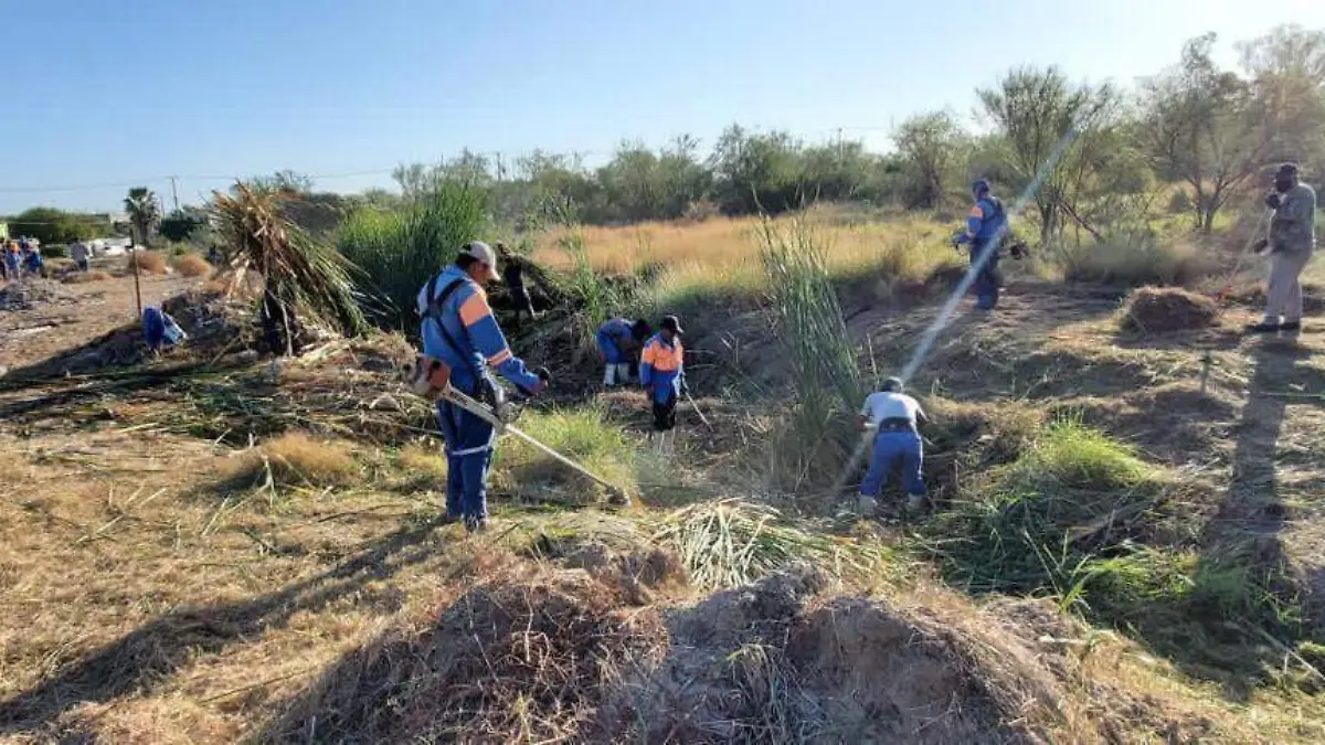 WhatsApp Image 2020-11-22 at 16.46.03