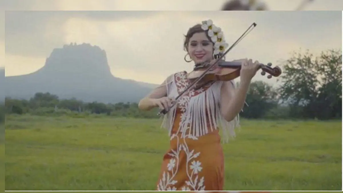 violin