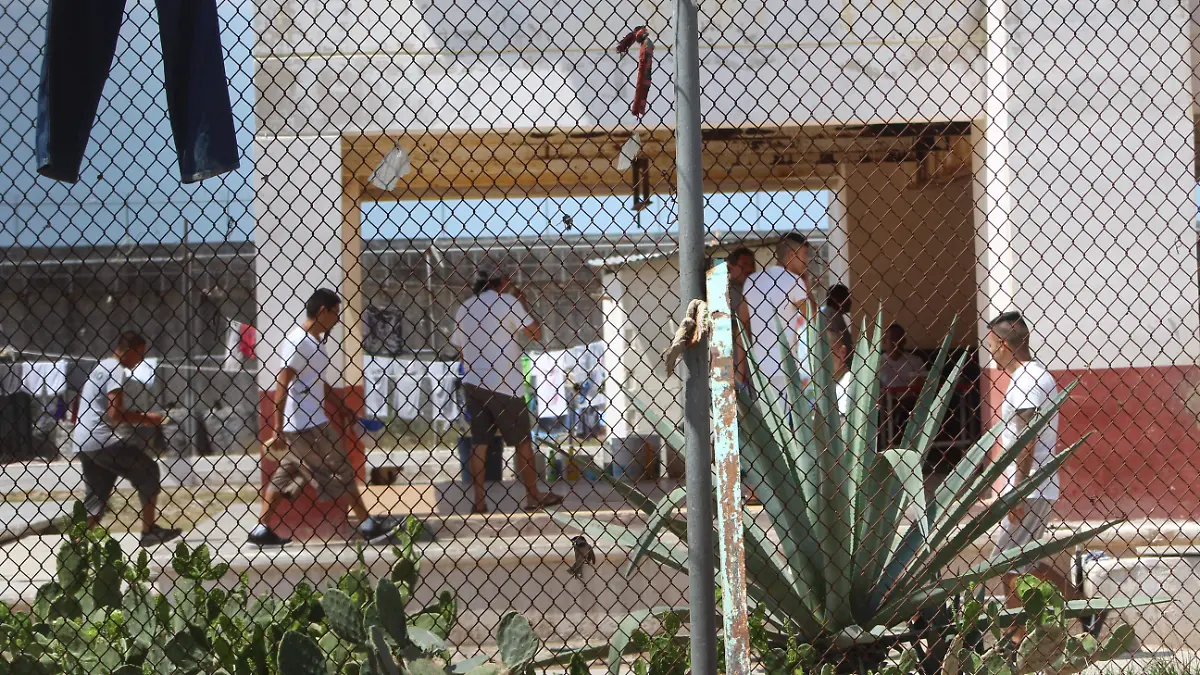 los hijos . Jaime Jiménez