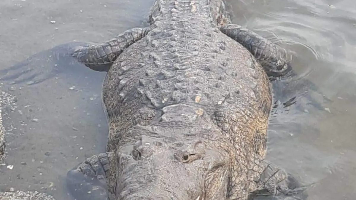 Image 2020-02-11 at 22.13.47