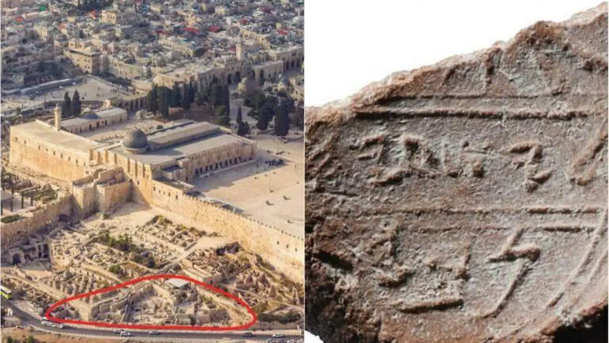 collage-isaias-bilia