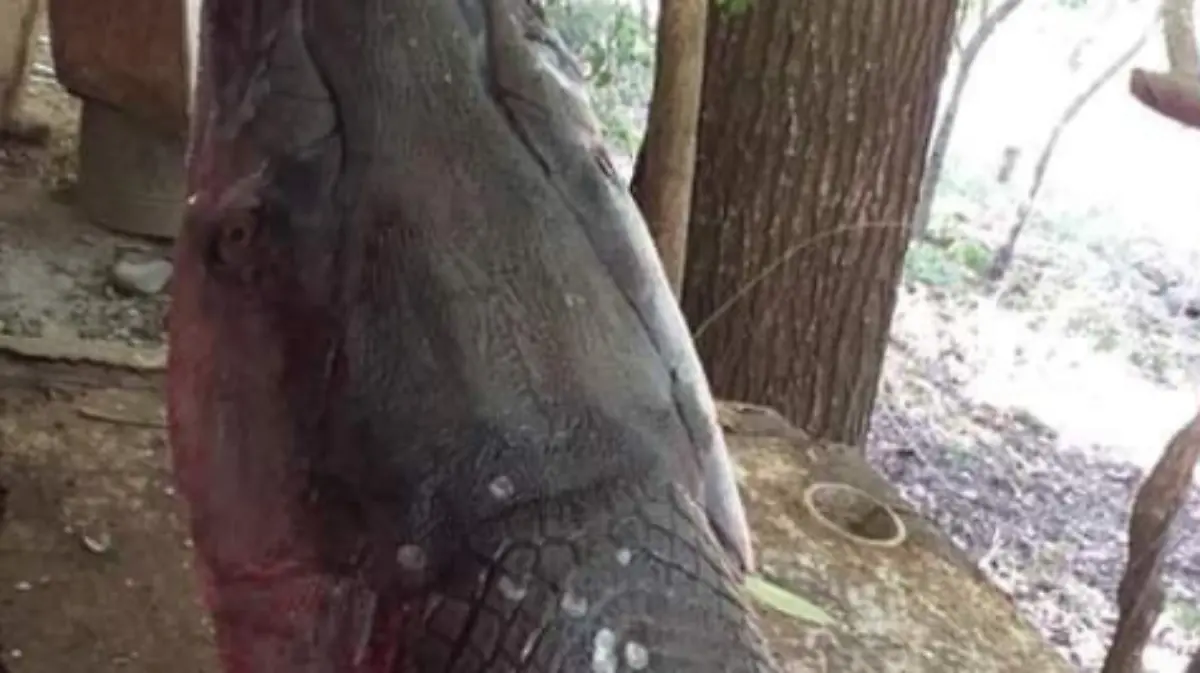 Captura de Pantalla 2019-08-10 a la(s) 19.52.52