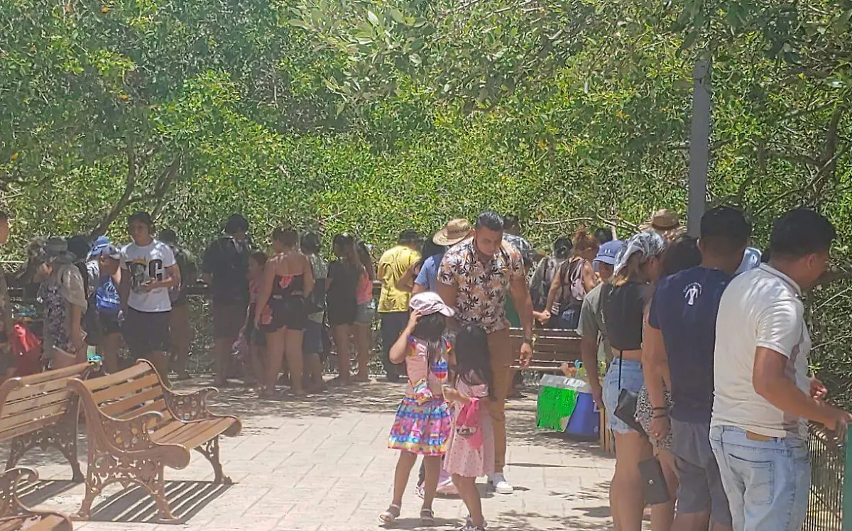 Universidad Anáhuac revela en su estudio a Tampico como una ciudad segura