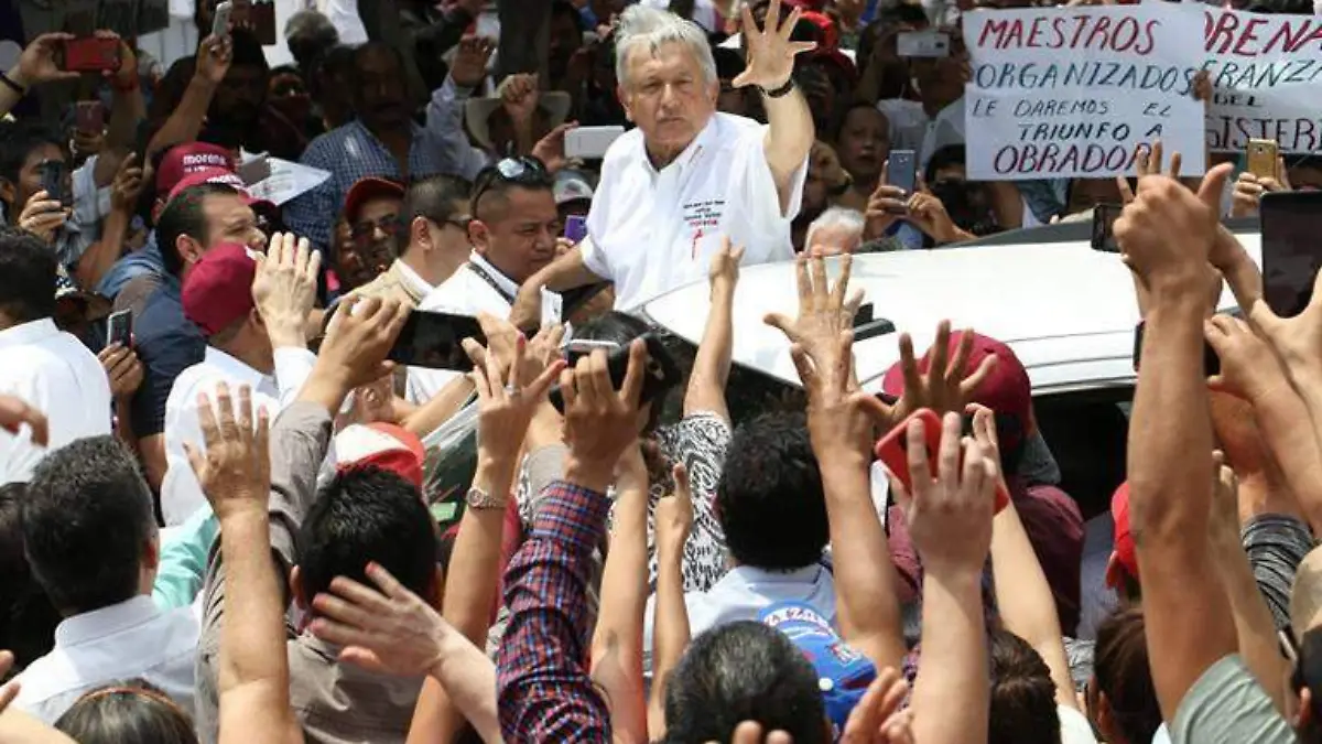 amlo
