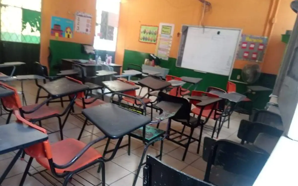 WhatsApp Image 2021-02-02 at 1.46.56 PM