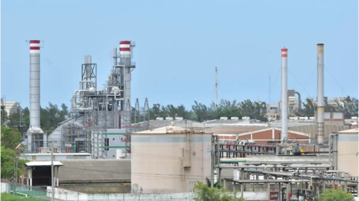 Reconoce IP proceso legislativo en reforma eléctrica
