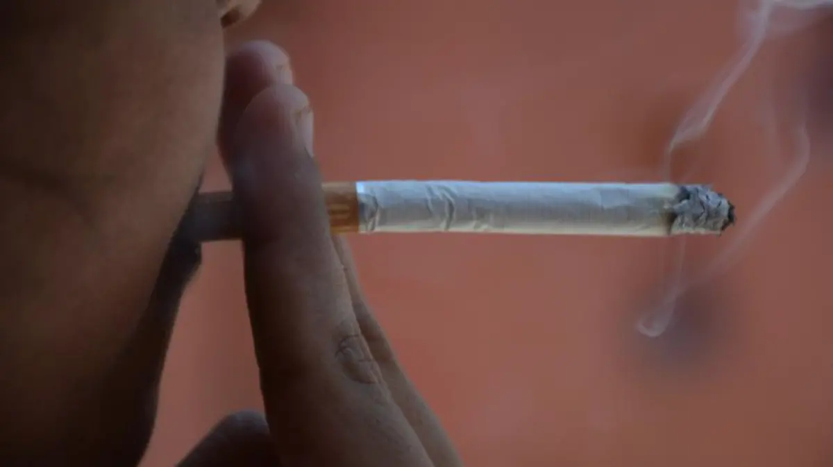 Captura de Pantalla 2019-05-30 a la(s) 12.52.25