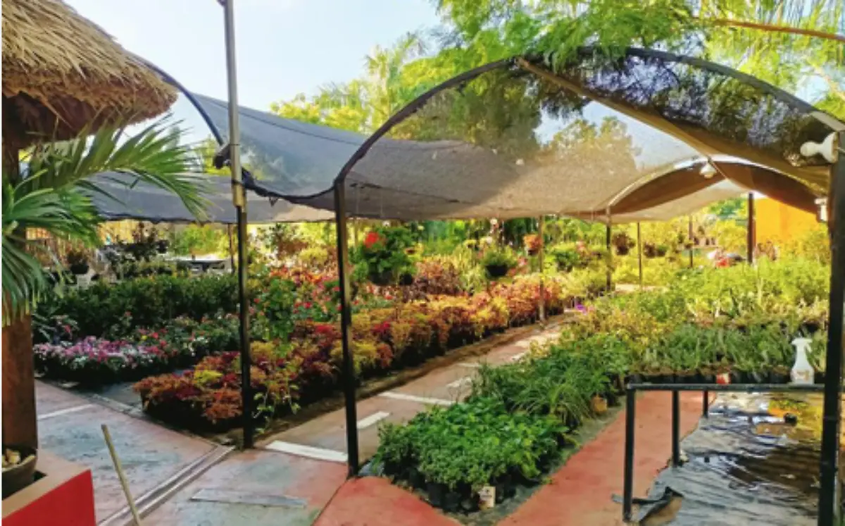 Captura de pantalla 2021-09-08 a la(s) 22.29.49