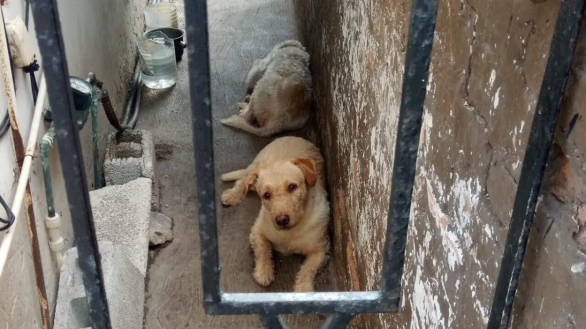 Aun falta crear más conciencia en la población