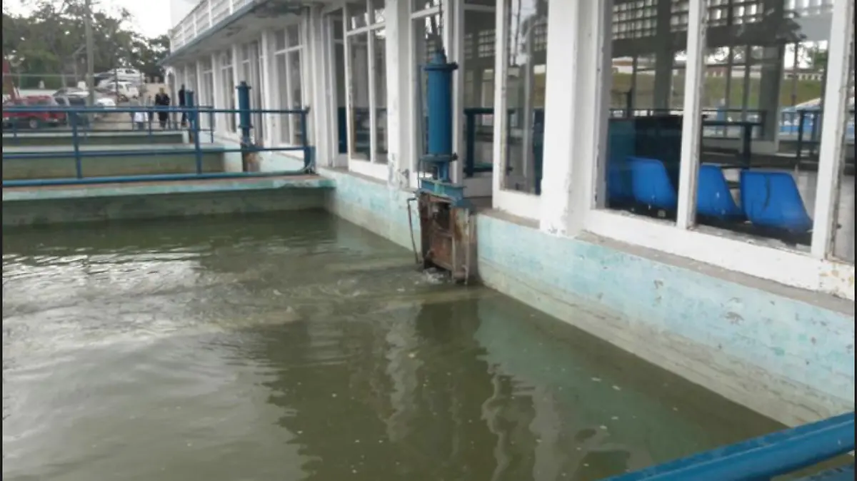 Captura de pantalla 2019-06-05 a las 3.05.47 p.m.