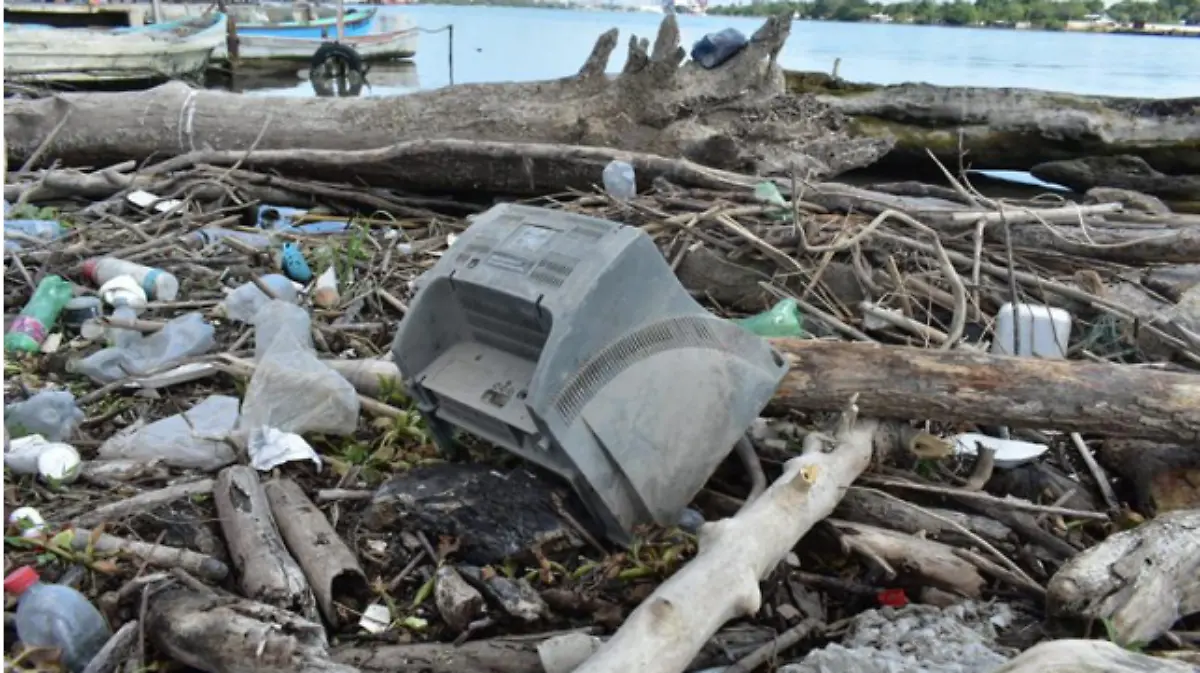 Alertan por alza de basura electrónica